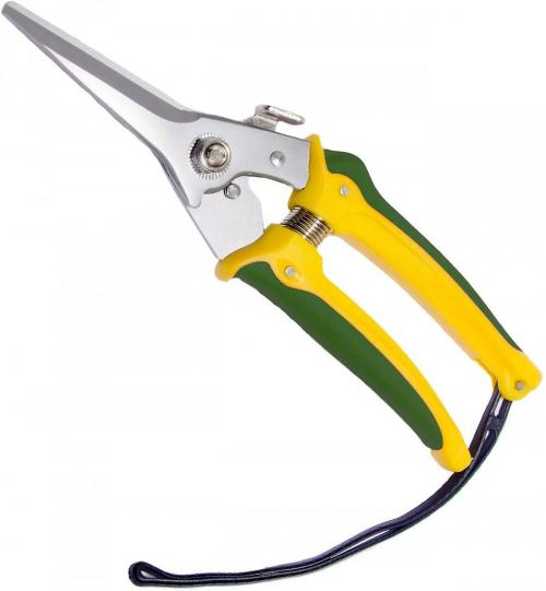 Nożyce do korekcji paznokci