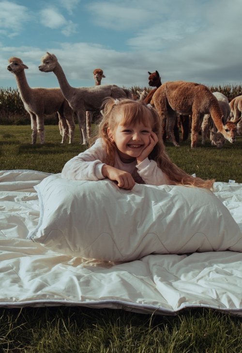 Kołdra 100% Alpaka (wypełnienie)