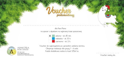 VOUCHER ŚWIĄTECZNY - spacer z alpakami ZIELONA TRASA  -20%