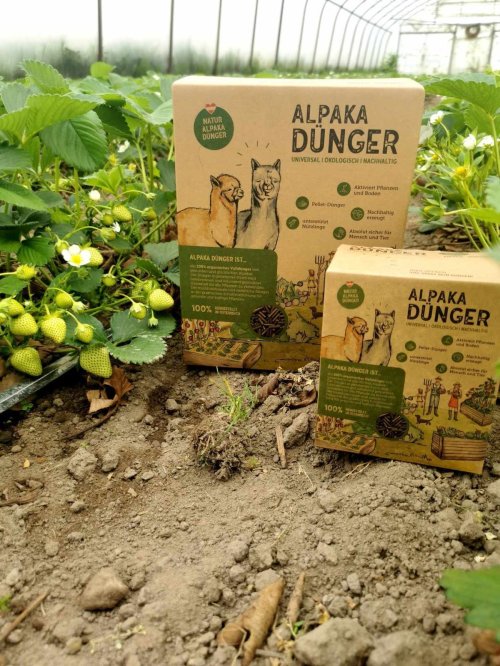 Alpaka Dünger - nawóz 800g