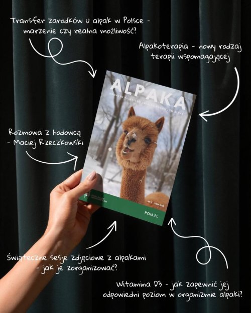 Magazyn Alpaka 