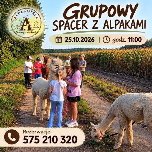 Spacer z alpakami 25.10.2026